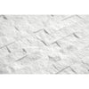 Thassos White (Greek) 1X2 Brick Mosaic Marble Split - Faced - SurfacesGalore