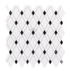 Thassos White (Greek) Lattice (Thassos White + Black) Mosaic Marble Polished - Honed - SurfacesGalorePolished