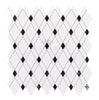 Thassos White Lattice (Thassos White + Black) Mosaic Marble Polished-Honed