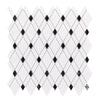 Thassos White Lattice (Thassos White + Black) Mosaic Marble Polished-Honed