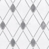 Thassos White Lattice (Thassos White + Blue-Gray) Mosaic Marble Polished-Honed