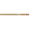 Valencia Travertine 1/2X12 Pencil Liner Honed - SurfacesGalore