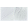 Oriental White / Asian Statuary 2X2 Marble Mosaic Polished-Honed