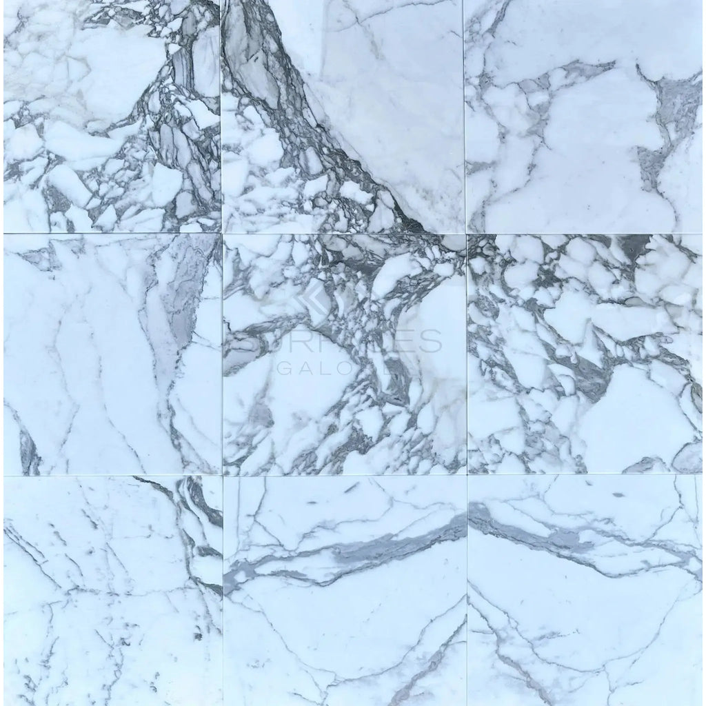 Carrara marble tile pattern featured in Arabescato Corchia 24X24 Polished or Honed