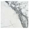 White marble slab with gray veining in Arabescato Corchia 24X24 Marble Tile