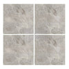 Four Atlantic Gray Marble 4X4 polished or honed tiles in gray tones