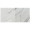 Statuary-Statuario White 24X24 Italian Marble Polished-Honed