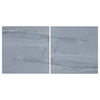 Two gray marble tiles of Bardiglio Imperiale 12X12 polished or honed finish