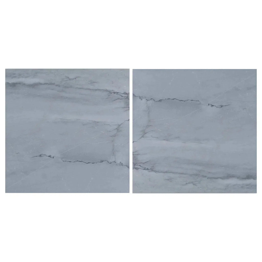 Two gray marble tiles of Bardiglio Imperiale 12X12 polished or honed finish