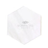 Bianco Dolomite 10 inch hexagon mosaic marble tile in polished finish