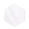 Bianco Dolomite 10-inch hexagon polished marble tile in elegant white design