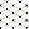 Mosaic tile pattern of Bianco Dolomite Octave with Black Marble accents