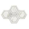 Calacatta Gold 5 inch Hexagon Combination Polished Marble Mosaic Tile Display