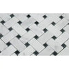 Carrara White Basketweave Mosaic Marble Tile with Black accent in herringbone pattern