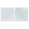 Two marble tiles from the Checkerboard Bardiglio Imperiale and Oriental White Marble Set