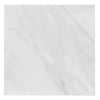 Square marble tile from the Checkerboard Bardiglio Imperiale and Oriental White set