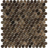 Brown marble penny tile in Emperador Dark Marble Penny-Round Mosaic Polished design