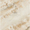 Beige and white marble slab of La Travonya Travertine 16X24 Unfilled Brushed Chiseled