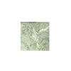 Ming Green 12X12 Marble Polished or Honed Square Marble Tile Display Image