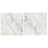 Two marble-patterned tiles of Oriental White Asian Statuary Marble 12X12 Polished Honed