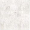 Oriental White Asian Statuary Marble 12X12 Polished Honed White Marble Surface