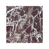 Dark red Rosso Levanto Marble 12x12 polished square with white veining