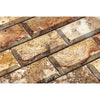 Textured stone brick pattern of Scabos Travertine 2X4 Deep-Beveled Brick Mosaic Honed