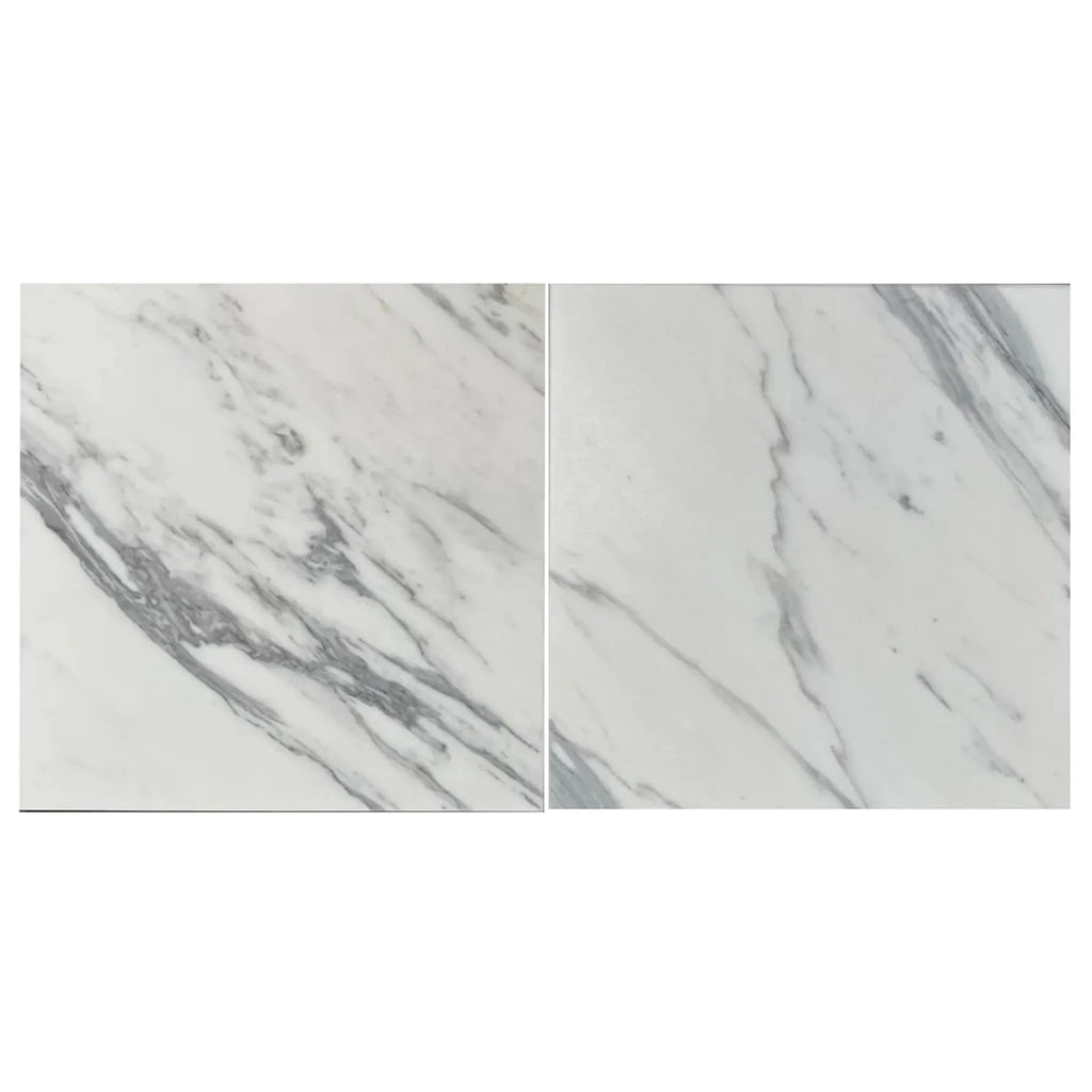 Two marble-patterned tiles from Statuary-Statuario White 12X12 Italian Marble