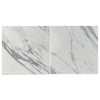 Two white marble tiles from Statuary-Statuario White 18X36 Italian Marble collection