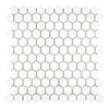 Thassos White 1 Inch Hexagon Mosaic Marble Polished or Honed White Tile Mosaic