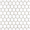 Thassos White 1 inch Hexagon Mosaic Marble Polished or Honed tile pattern image