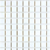 Thassos White 1x1 Mosaic Marble Polished or Honed featuring white square tiles