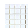 Thassos White 1X1 Mosaic Marble Polished or Honed featuring white square tiles