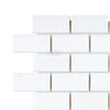 Thassos White 1X2 Brick Mosaic Marble Polished or Honed with white subway tile sheet