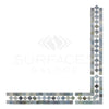 Mosaic tile border featuring Thassos White 2X12 BIAS with Blue-Gray marble design