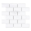 Thassos White 2X4 Deep-Beveled Brick Mosaic Marble Polished-Honed in White Glass Subway Tile