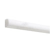 White quarter round molding for Thassos White marble polished or honed liner