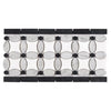 Decorative marble tile border featuring Thassos White and Black dots in polished finish