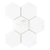 Thassos White 5-inch hexagon mosaic marble tile in polished or honed finish