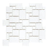 Thassos White Mini-Versailles Pattern Mosaic Marble showcasing a white mosaic tile design