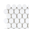 Thassos White Penny-Round Mosaic Marble Sheet in Polished or Honed Finish