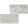 Two marble-patterned tiles of White Pearl/Botticino Beige Marble 3X6 polished or honed